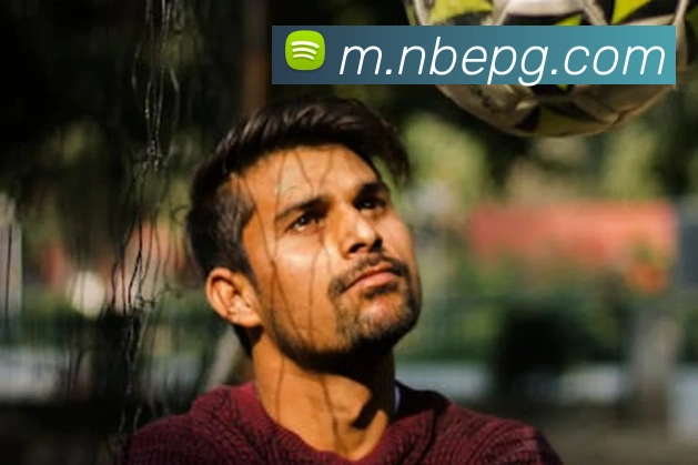 pg模拟器平台生态图